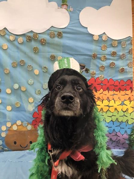 /Images/uploads/Congregation Beth Emeth/bethemeth/entries/17603thumb.jpg